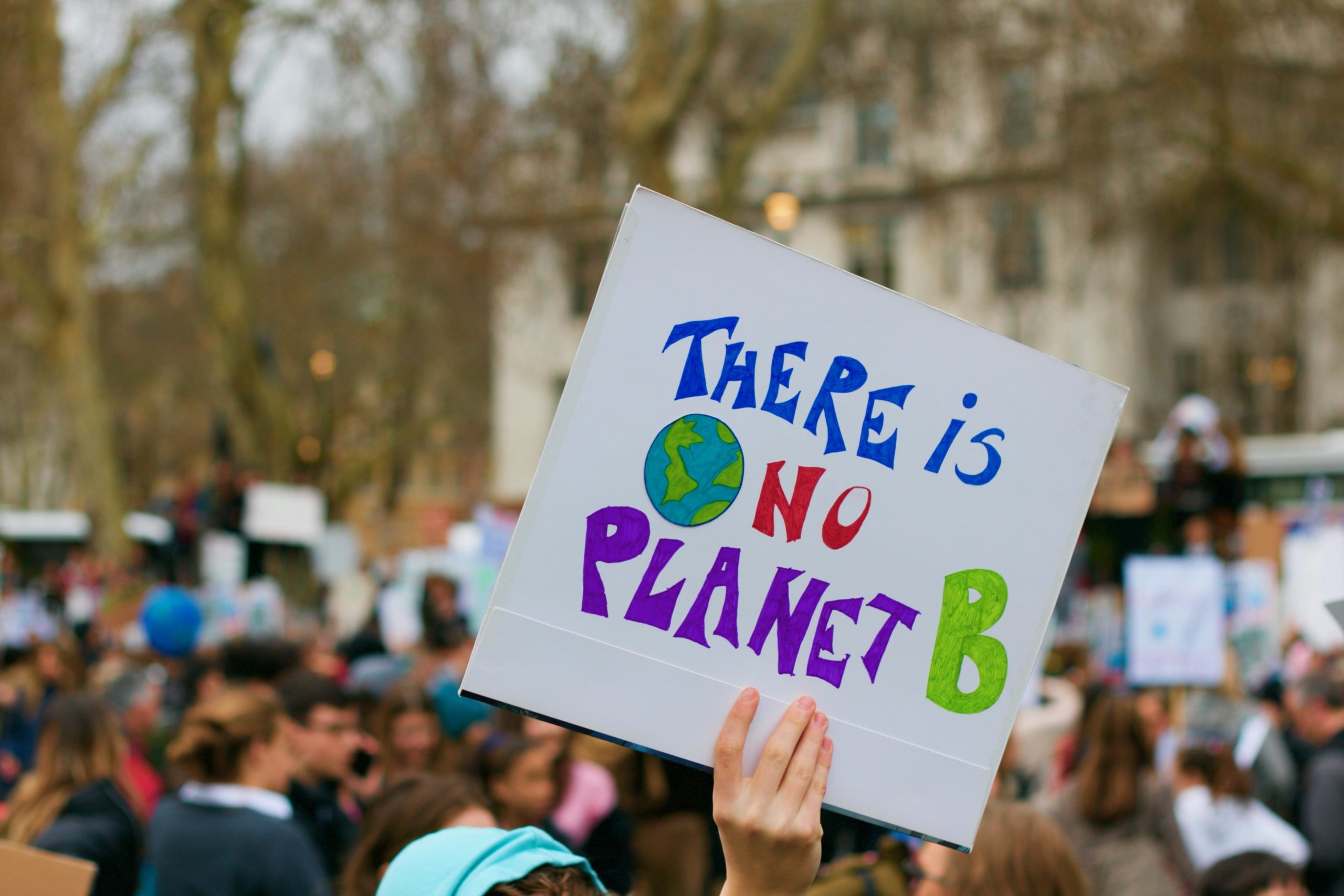 Auf einer Demonstration hält jemand ein Schild mit dem Slogan der Klimaschutzbewegung "There is no Planet B" in die Höhe