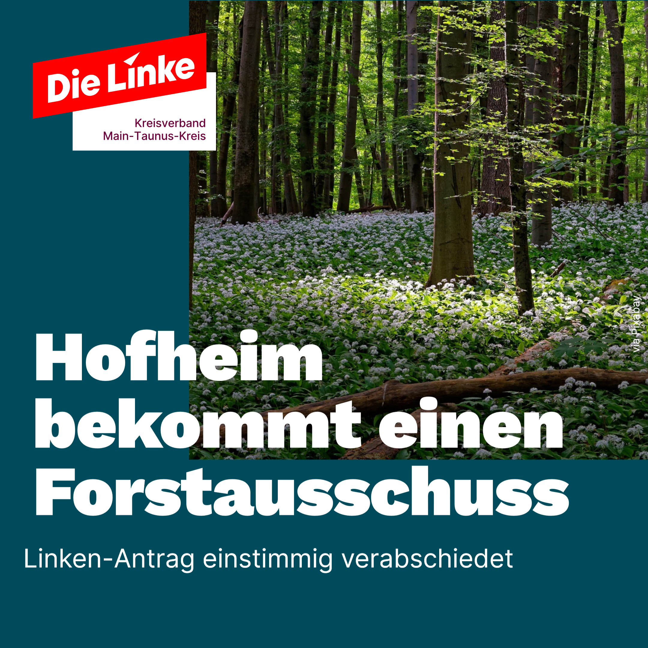 Vor einem lichtdurchfluteten Wald steht der Text: Hofheim bekommt einen Forstausschuss. Linken-Antrag einstimmig angenommen.