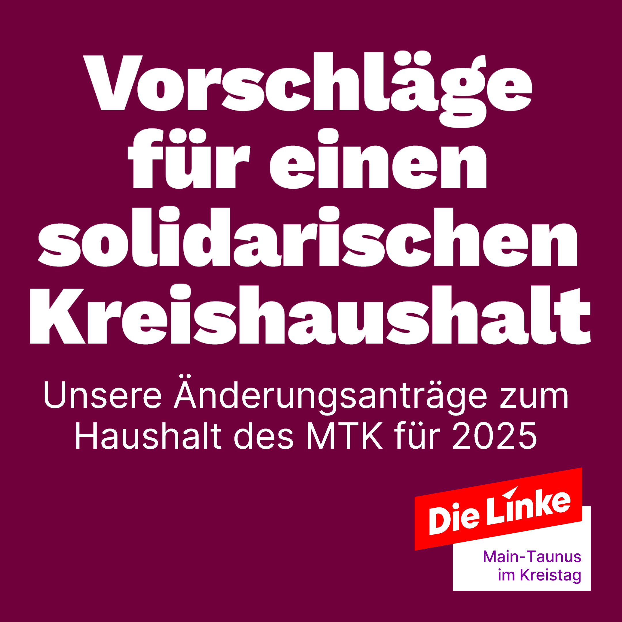 Vor lila Hintergrund der Schriftzug: Vorschläge für einen solidarischen Kreishaushalt. Unsere Änderungsanträge zum Haushalt des MTK für 2025