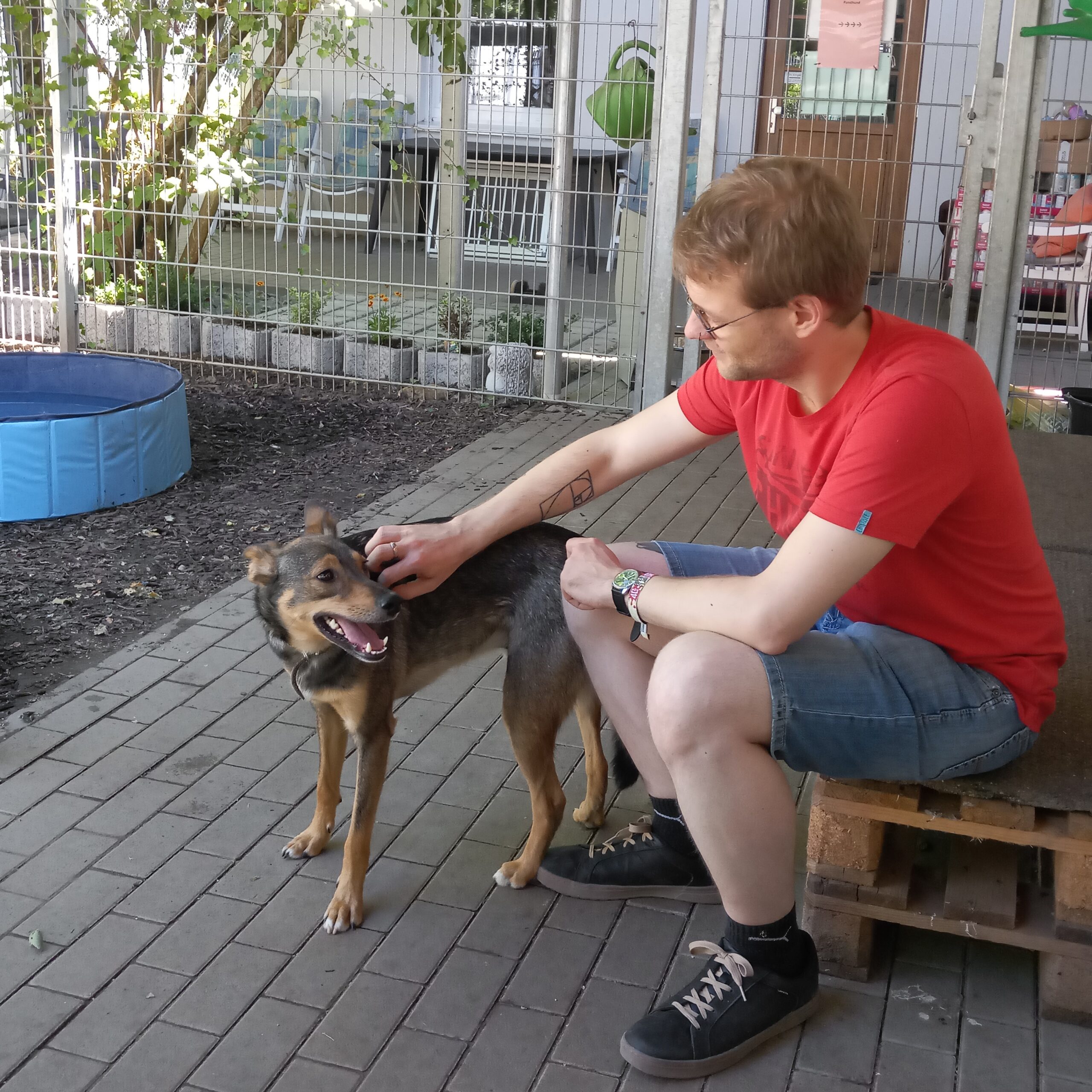 Ein junger Mann in rotem T-Shirt streichelt einen Hund