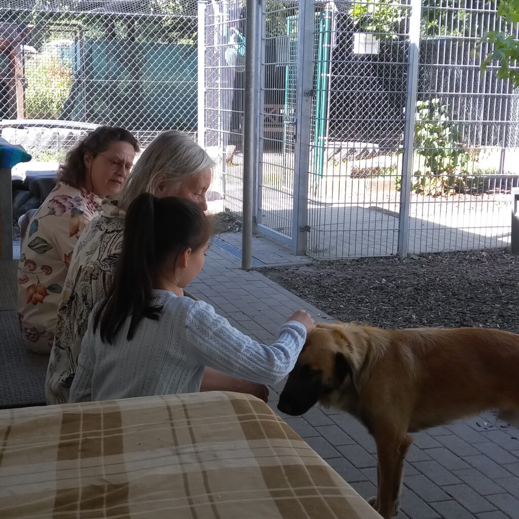 ein junges Mädchen streichelt einen Hund, zwei Frauen schauen zu.