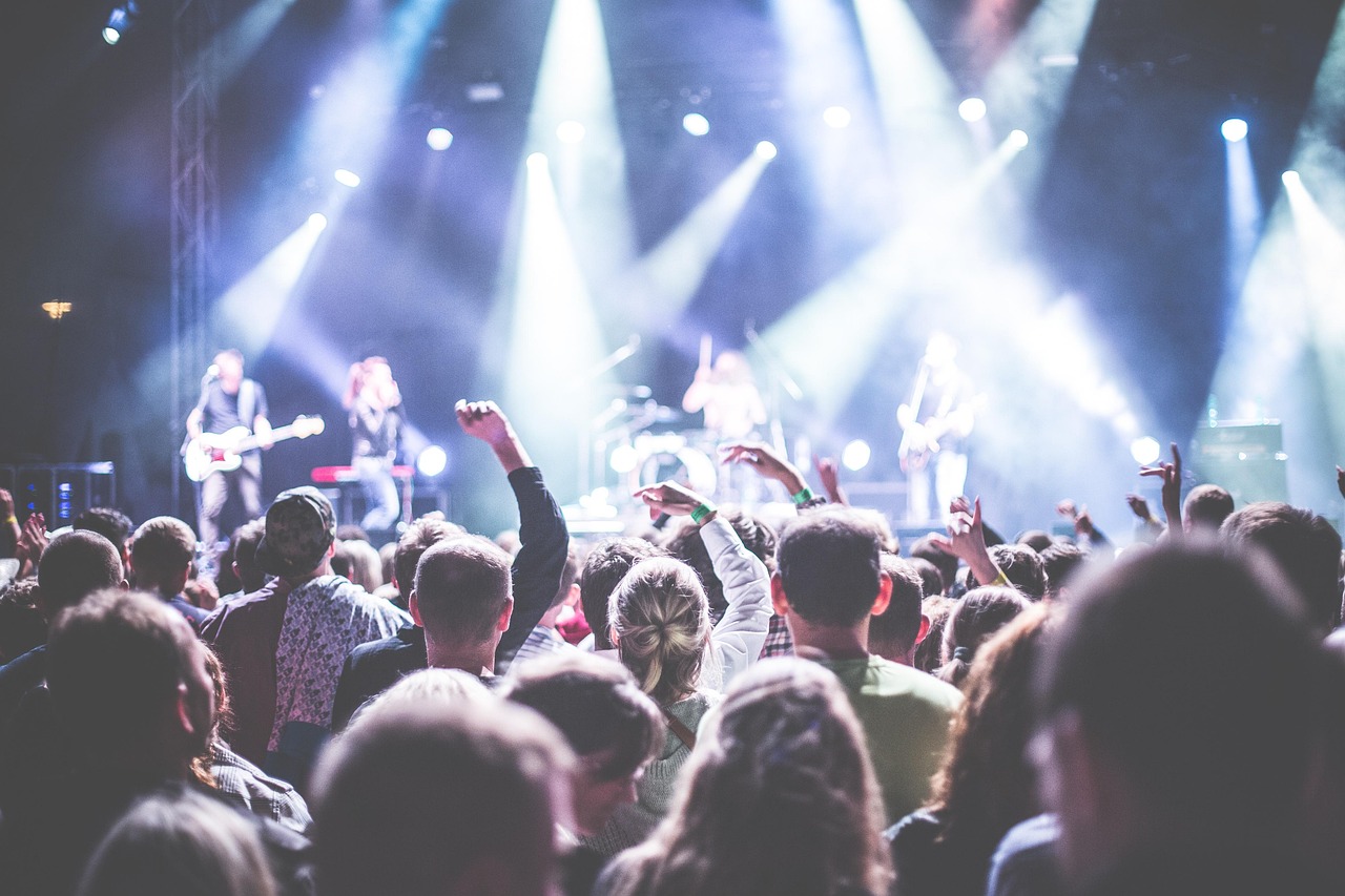 Foto einer jubelnden Menge bei einem Rockkonzert