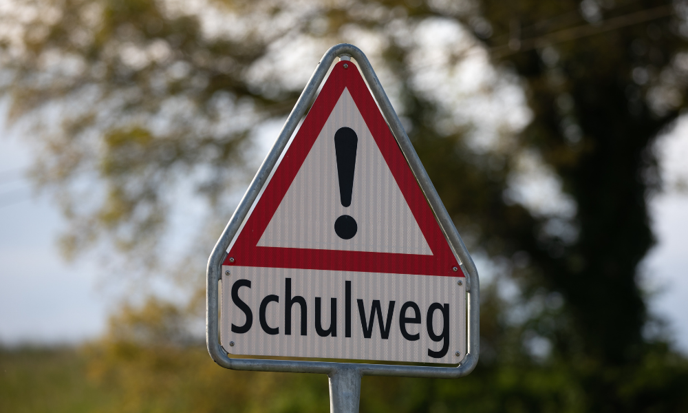 Schulweg-Schein-und-Wirklichkeit-die-Linke-Hattersheim